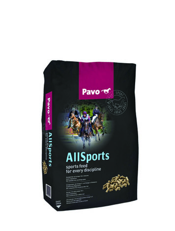 Pavo-AllSports