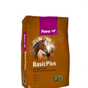 Pavo BasicPlus