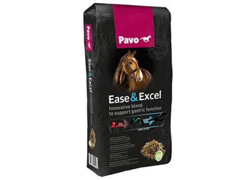 Paov EaseenExcel