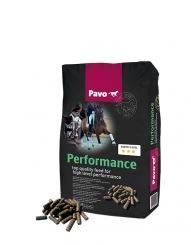 Pavo performance
