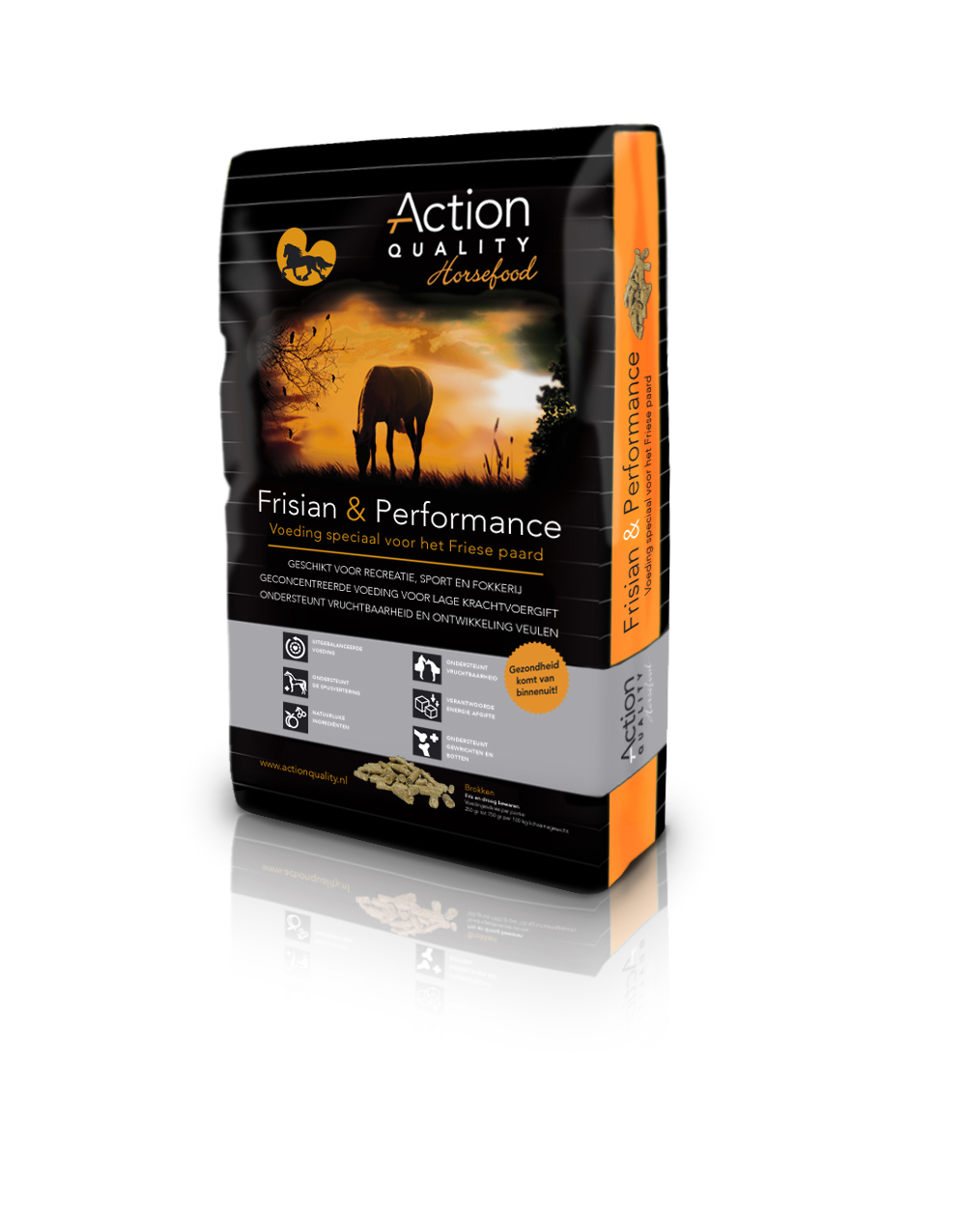 Action Frisian en performance