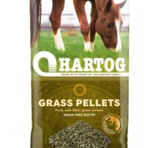 Grasbrok