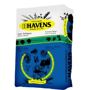 Havens schapen en geit