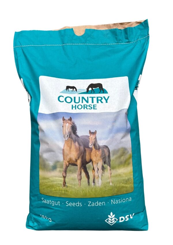 Country Horse