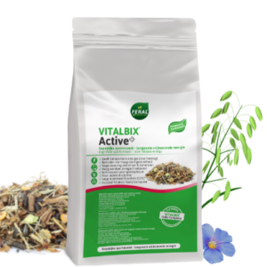 Vitalbiu Active