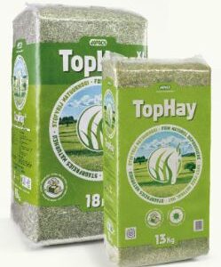 TopHay